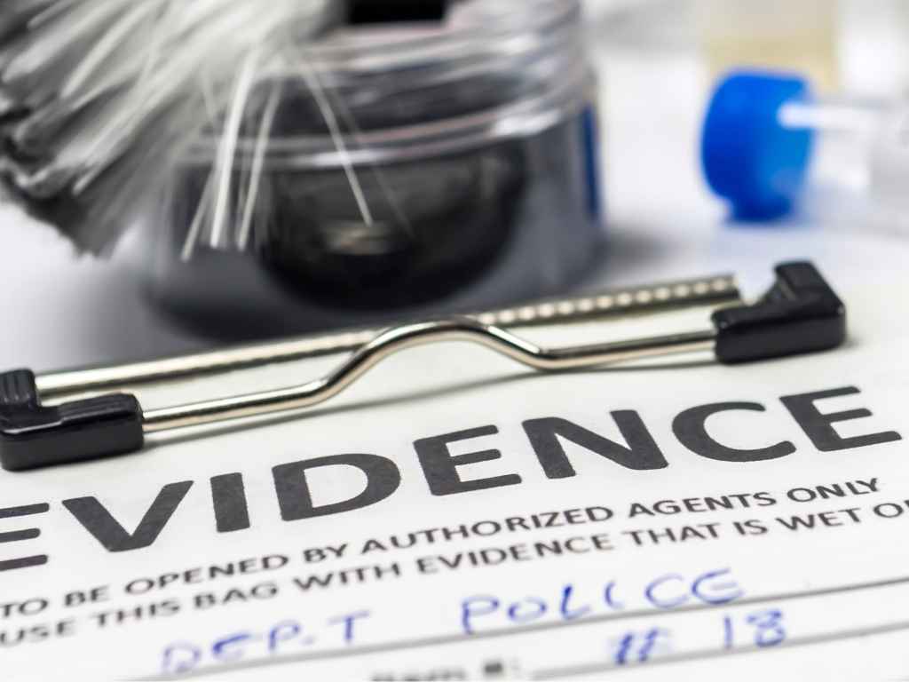 Domestic Violence – Assault occasioning actual bodily harm, stalking and intimidation, damaging property – Not Guilty