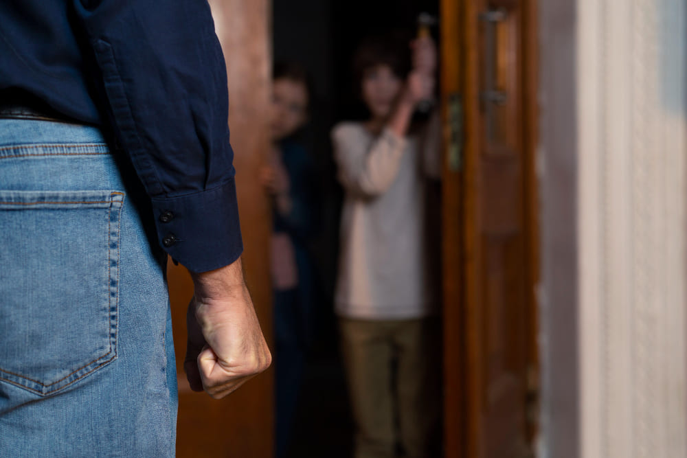 Domestic Violence – Assault occasioning actual bodily harm – Not Guilty