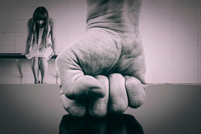 Domestic Violence Charges NSW: Bail Rules, Penalties, Defences, And Court Process